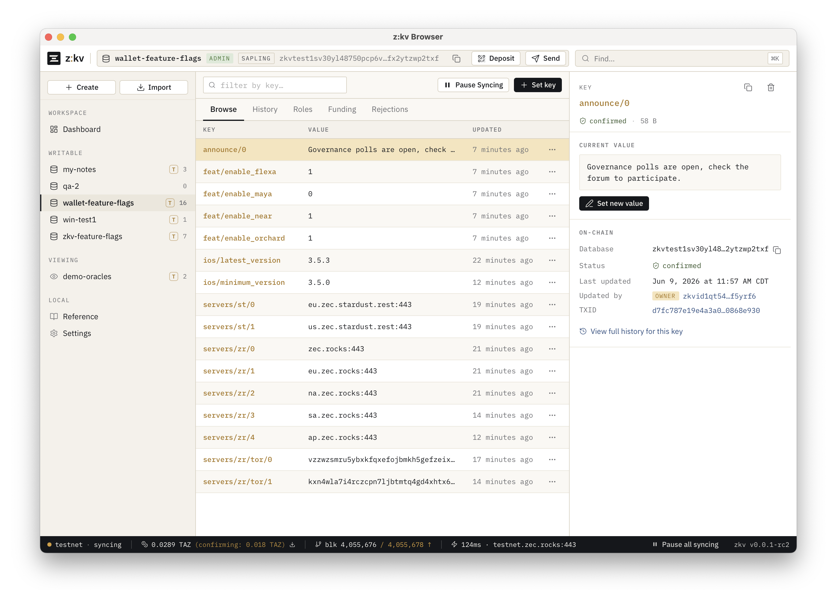 z:kv Browser: Browse tab listing keys with the detail panel for a key's current value